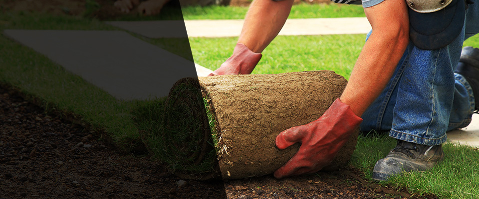 Star City Landscapers